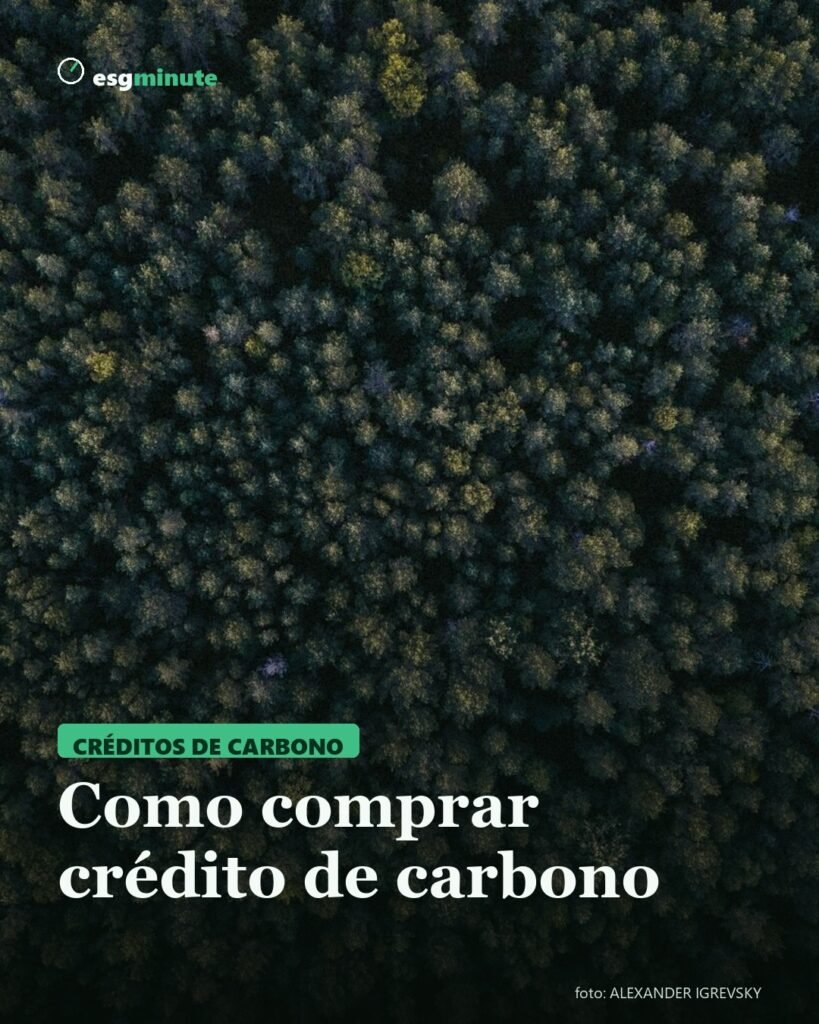 Como comprar crédito de carbono