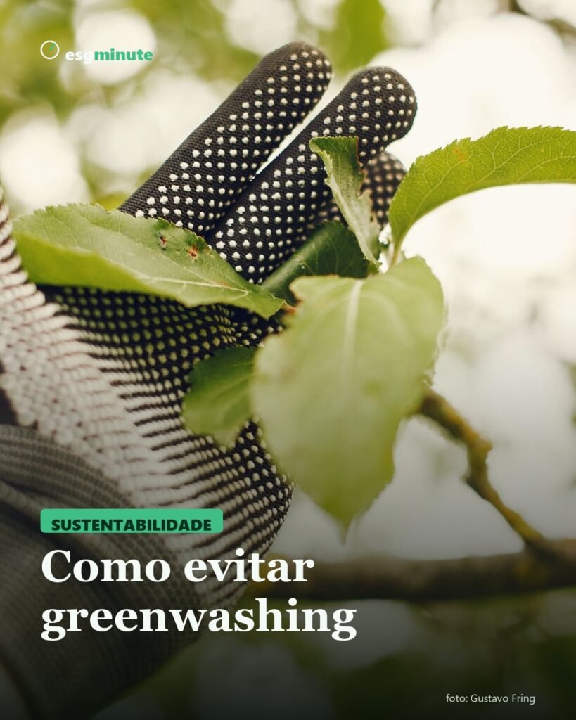 Como evitar greenwashing