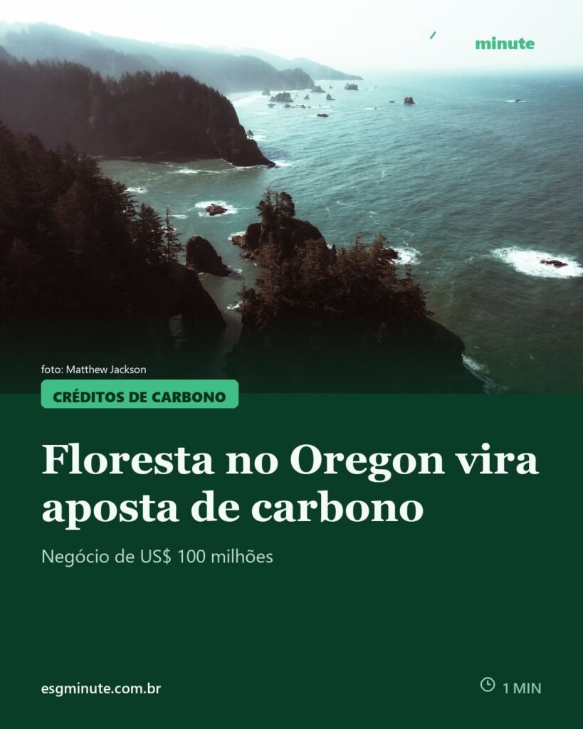 Investidora compra 29 mil acres de floresta no Oregon por carbono e madeira