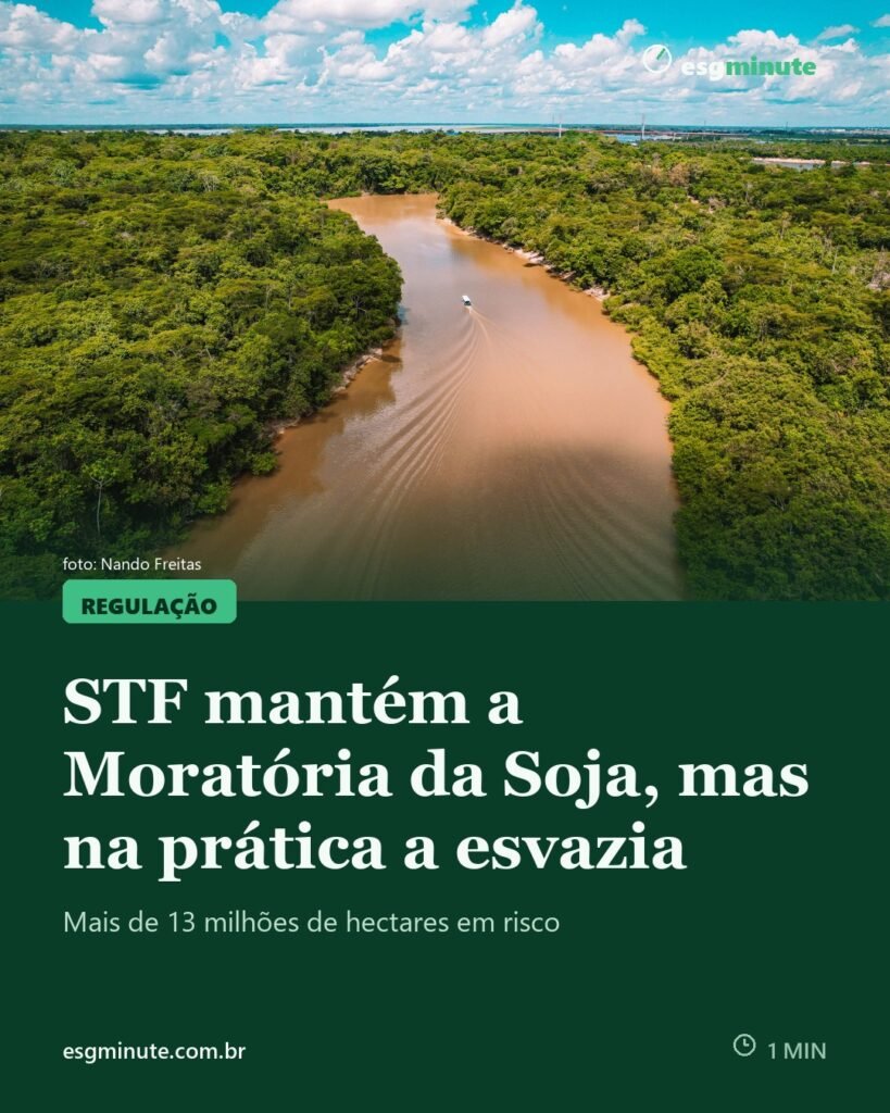 STF reconhece Moratória da Soja, mas valida leis que punem quem assina