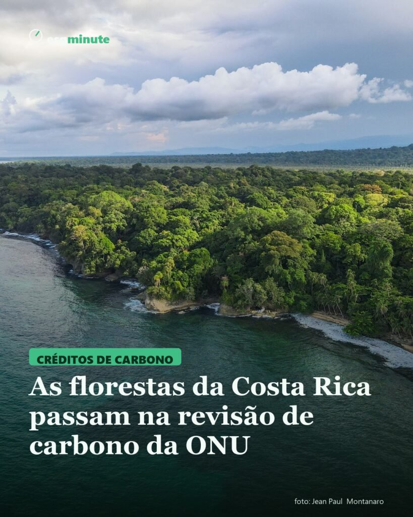 Florestas da Costa Rica passam em revisão da ONU com 10,3 milhões de toneladas verificadas