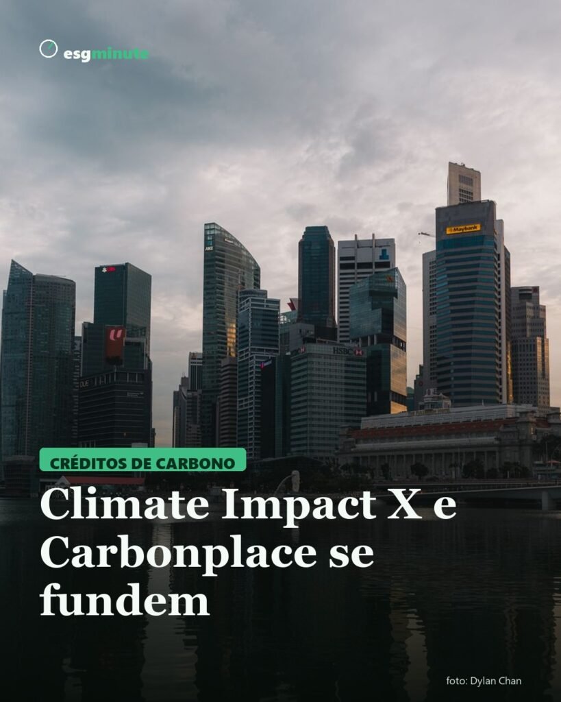 Climate Impact X e Carbonplace anunciam fusão de plataformas de mercado de carbono