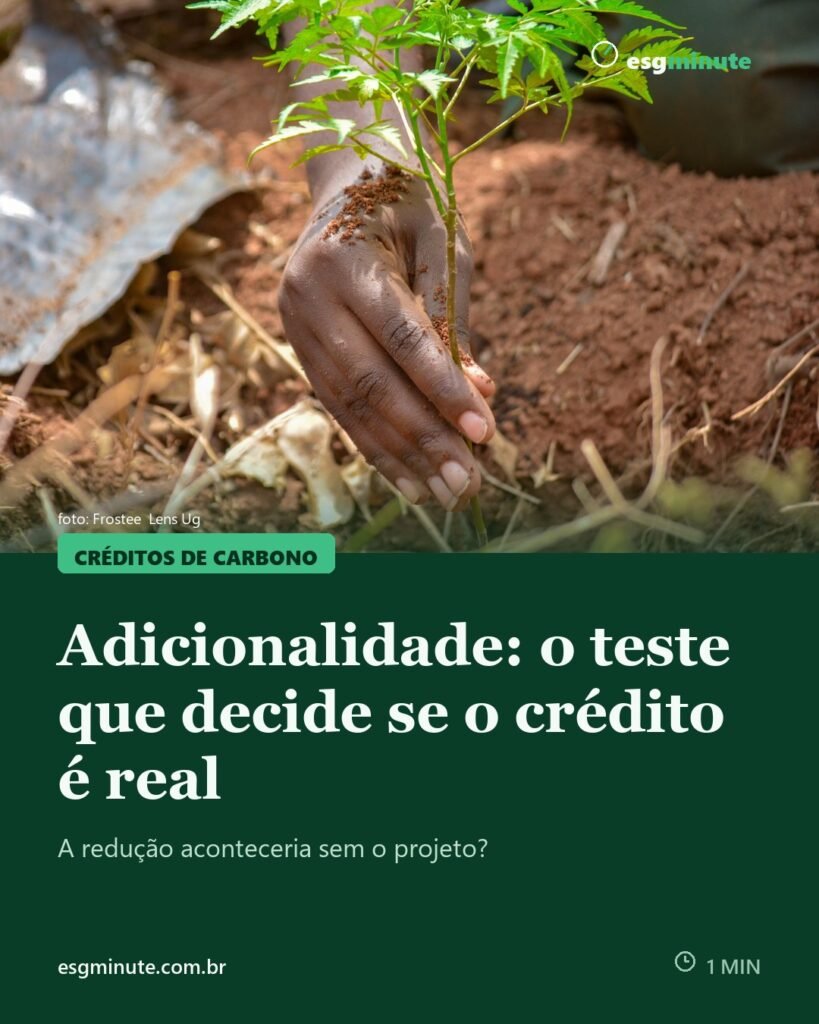 Adicionalidade em crédito de carbono: o que é e por que é o teste mais importante