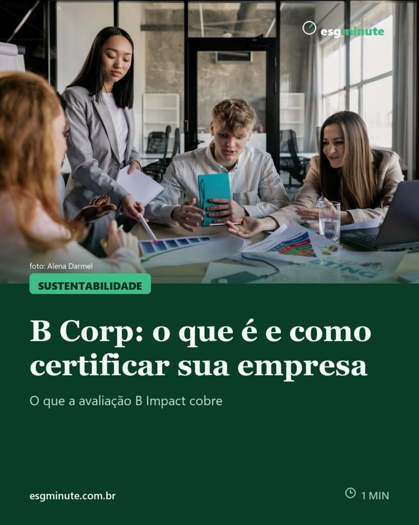 B Corp: o que é e como certificar a sua empresa