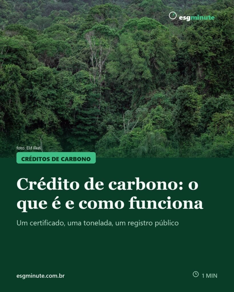 Crédito de carbono: o que é e como funciona na prática
