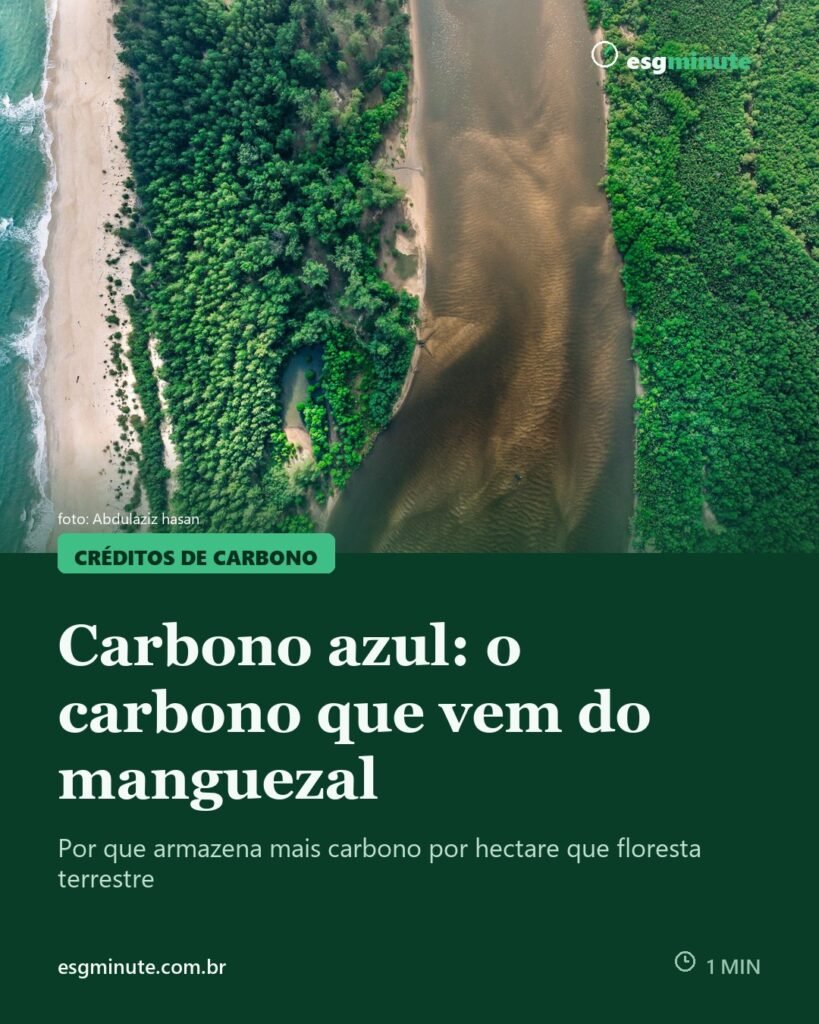 Créditos de carbono azul: manguezais, restinga e o carbono do oceano
