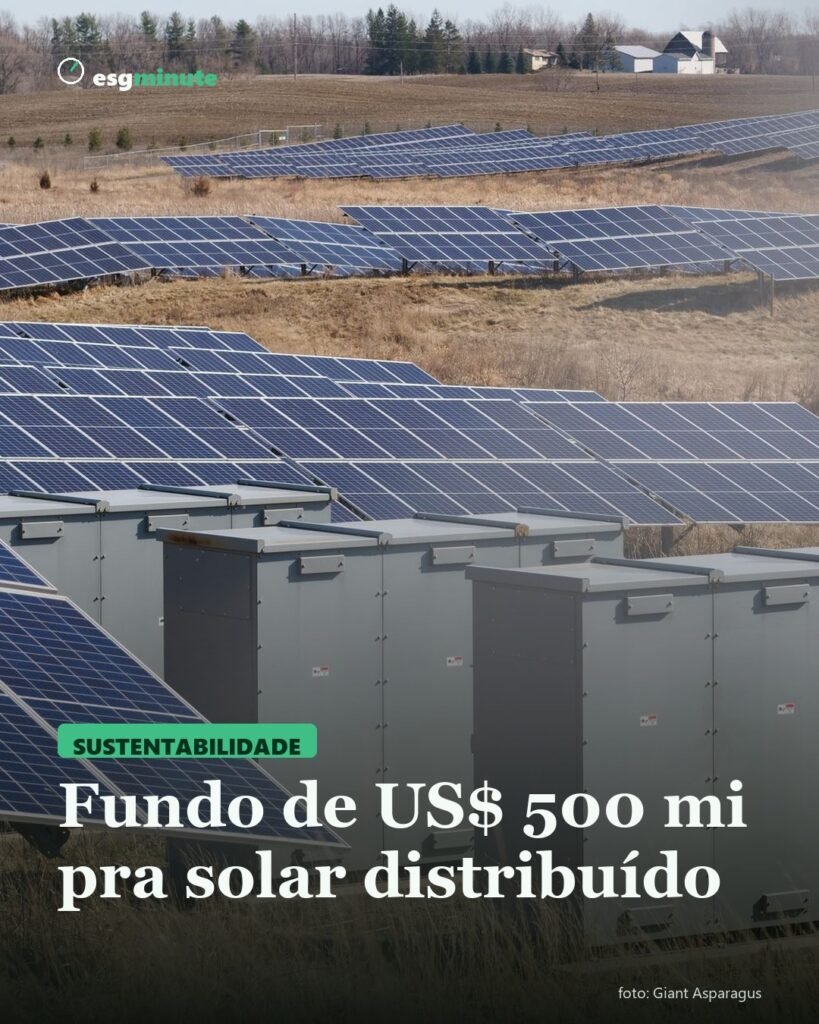 Fileiras de painéis solares em campo aberto