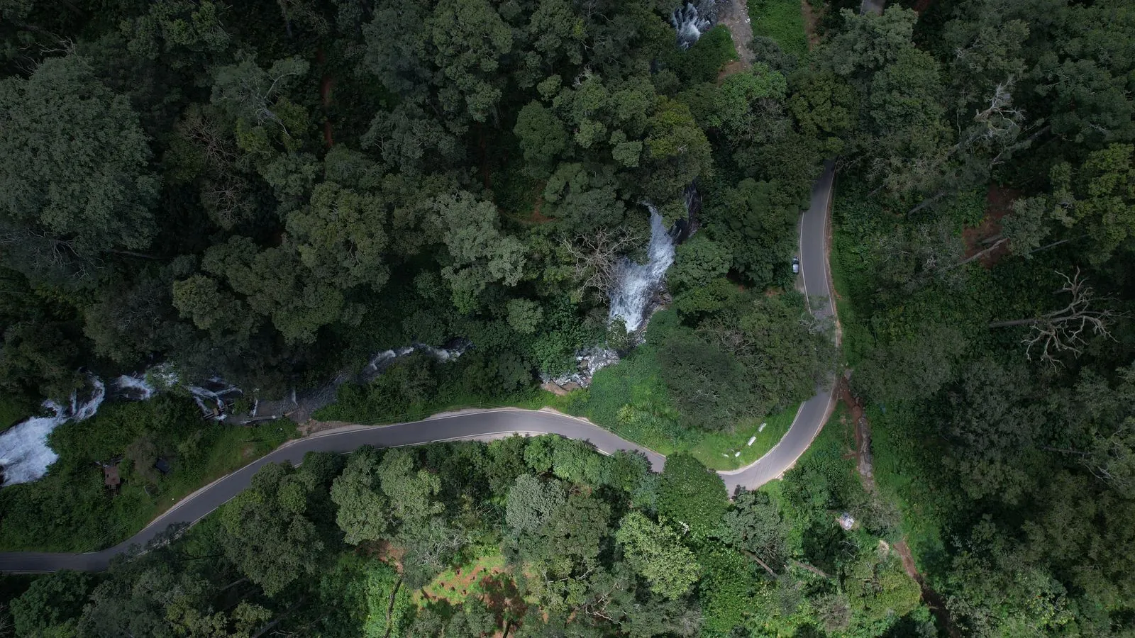 Vista aérea de estrada atravessando a floresta