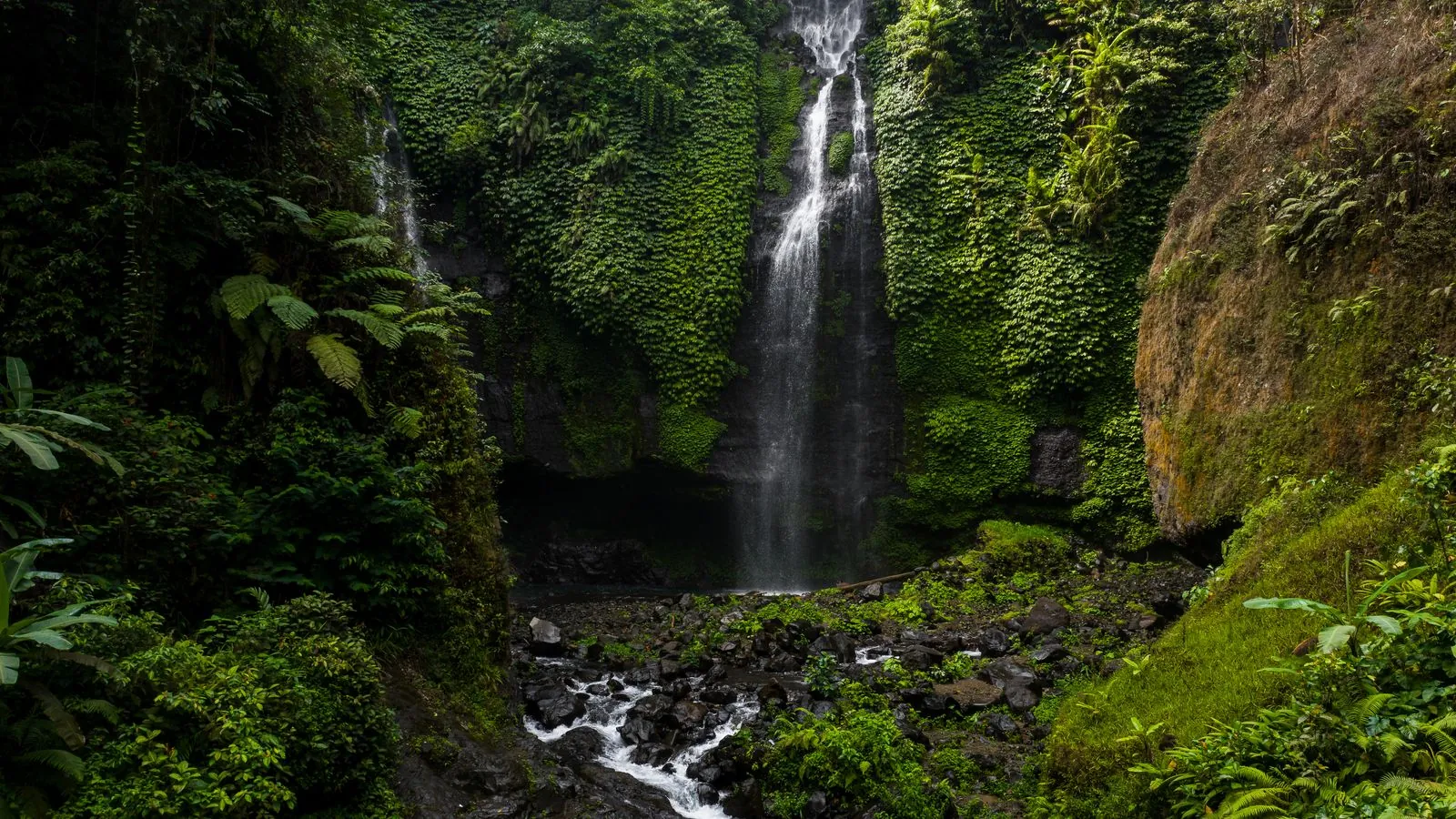 Cachoeira na floresta tropical
