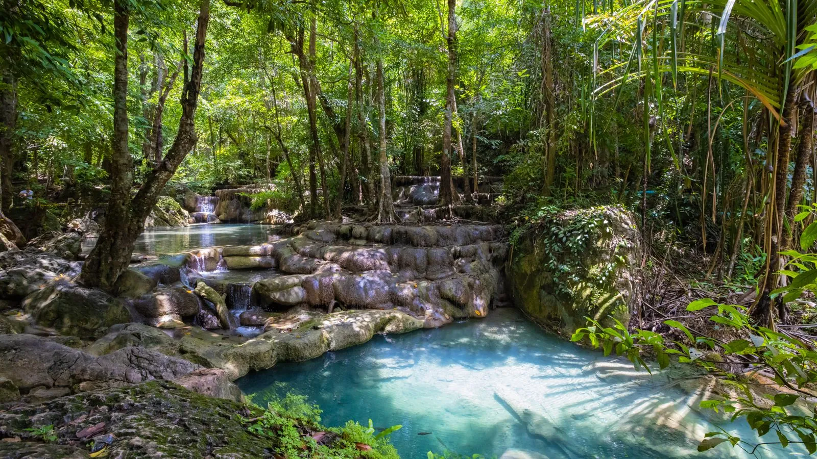 Floresta tropical no Sudeste Asiático